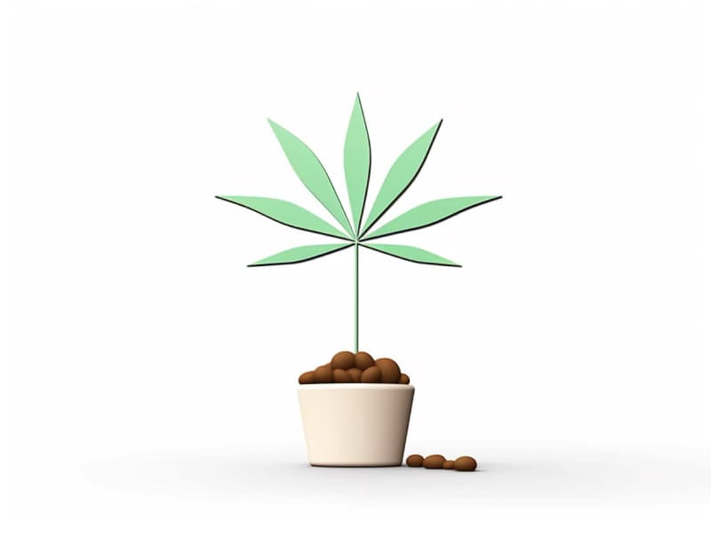 Eine minimalistische, geometrische Darstellung eines wachsenden Cannabispflanzensprösslings. Es steht für das Gründen eines neuen Aufstrebenden Clubs in Waiblingen.