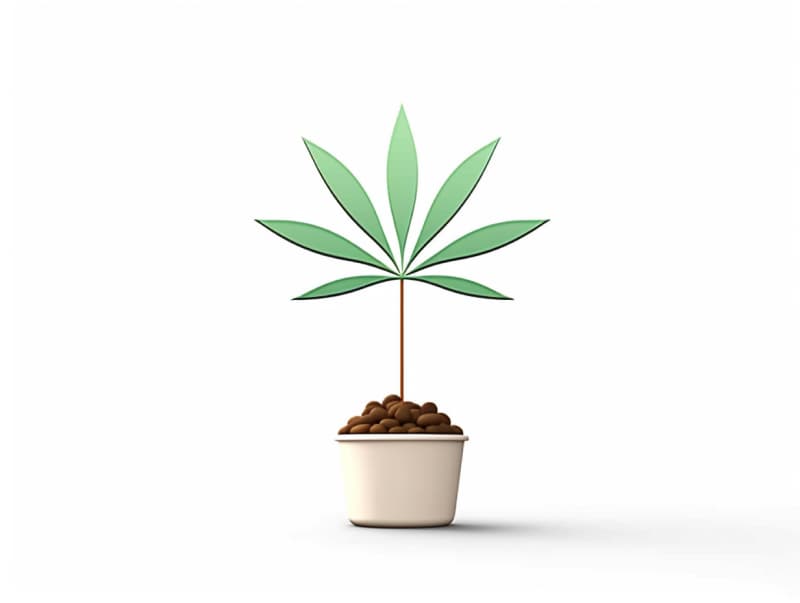 Eine minimalistische, geometrische Darstellung eines wachsenden Cannabispflanzensprösslings. Es steht für das Gründen eines neuen Aufstrebenden Clubs in Weimar.