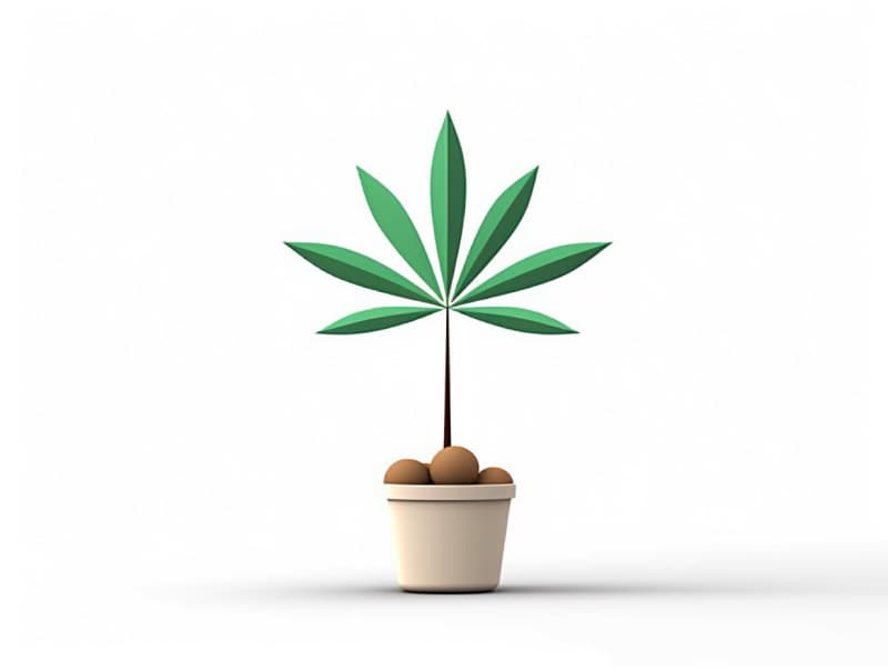 Eine minimalistische, geometrische Darstellung eines wachsenden Cannabispflanzensprösslings. Es steht für das Gründen eines neuen Aufstrebenden Clubs in Wilhelmshaven.