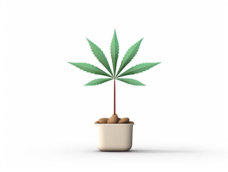 Eine minimalistische, geometrische Darstellung eines wachsenden Cannabispflanzensprösslings. Es steht für das Gründen eines neuen Aufstrebenden Clubs in Wolfsburg.